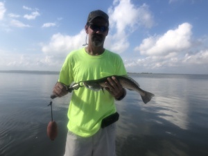 David Roper with a nice sea trout. David & his Dad catching some reds and sea trout.