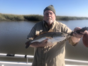 Jim Sattler with a nice red. Jim caught several nice reds and sea trout. We saw one sea trout go air born chasing finger mullet.