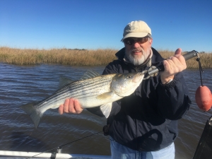 John Prather with a nice striper. Stripers are looking like they returning!