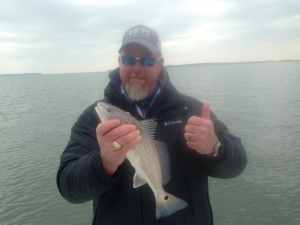 Dave Taglisabuse catching reds!