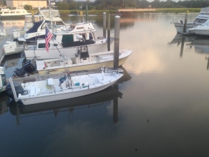 A heron on Capt. Jack's boat - looking for an easy meal.
