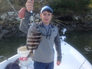 Sam Bryan with a nice sheepshead! Sam was on a nice sheepshead bite!