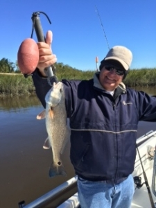 Steve Ford's guest with another nice schoolie red!