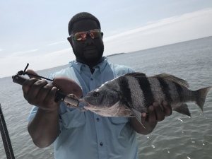 David Glinski catching & releasing a nice black drum.