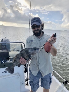 James Rossetti catching and releasing a nice black drum!