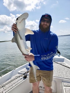 Richard catching and releasing a large bonnet head shark.