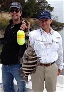 Thomas Fassuliotis and Tim Corley catching sheepshead