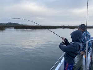 Young fisherman on a school of reds!