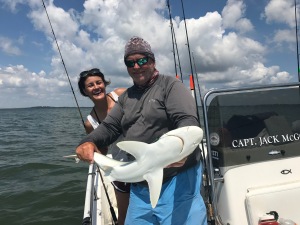 Shark'en!