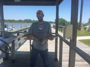Isacc Pague with a couple of nice schoolie reds caught on windy day with big tides.