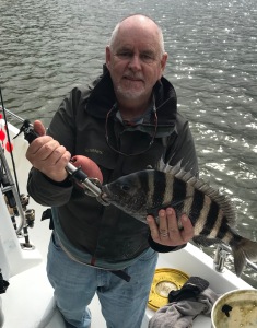 Capt. Jack with an inshore sheepshead