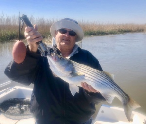 Cecil Scotty catching & releasing a nice striper. He and his wife caught some reds & channel cats.